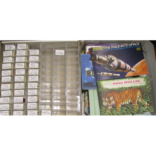 Lot 24        