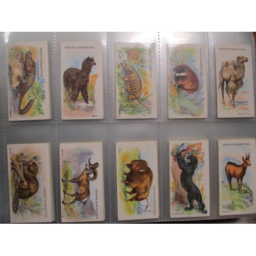 Lot 28        