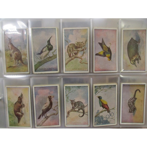 Lot 27        