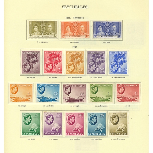 Lot 11        