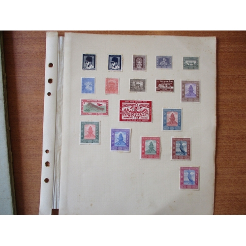Lot 24        