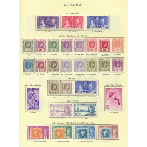 Lot 10        