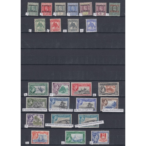 14 - STAMPS : BRITISH COMMONWEALTH, Pacific Islands with a mint selection on three stock pages. Including... 