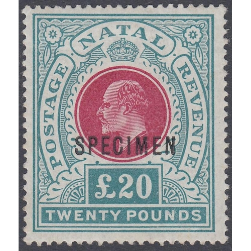 Lot 486       