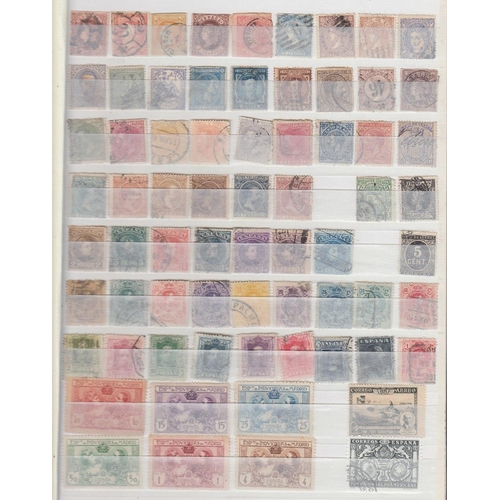 488 - STAMPS SPAIN : Two stock books of mint and used covering all periods, good value lot