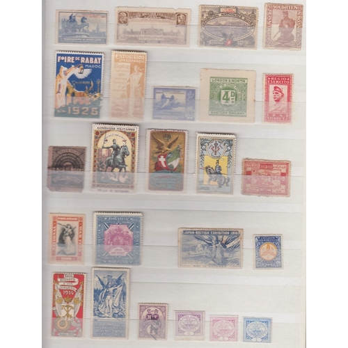 73 - STAMPS Cinderella's and revenues mint and used in red stock book, interesting lot