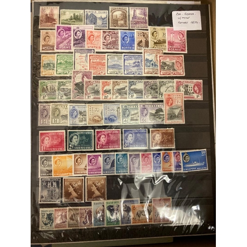 48 - STAMPS BRITISH COMMONWEALTH, various mint & used on stockpages, in two stockbooks. Mostly U/M QEII w... 
