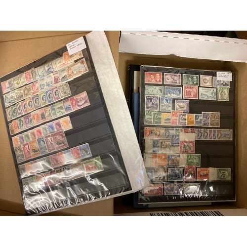 48 - STAMPS BRITISH COMMONWEALTH, various mint & used on stockpages, in two stockbooks. Mostly U/M QEII w... 