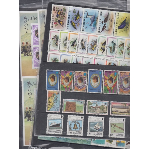 32 - Collection of modern West Indies, unmounted mint on stock cards estimated retail value £500+, many t... 