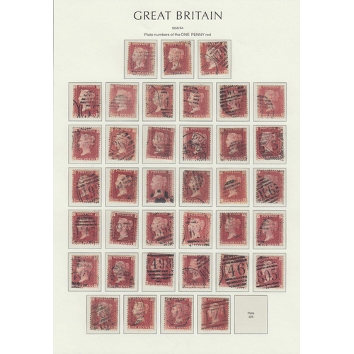 226 - STAMPS : GREAT BRITAIN : QV to early QEII accumulation on stockcards & on a few album pages. Include... 