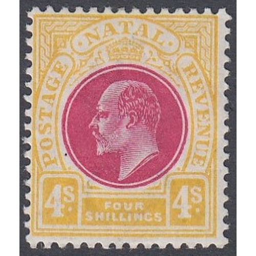 624 - STAMPS SOUTH AFRICA NATAL, 1902 EDVII 4s dep rose & maize, lightly M/M, SG 139. Cat £95