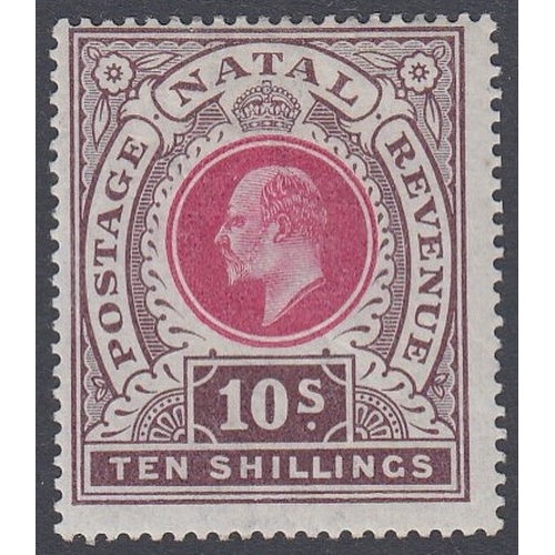 625 - STAMPS SOUTH AFRICA NATAL, 1902 EDVII 10s deep rose & chocolate, fine M/M, SG 141. Cat £140