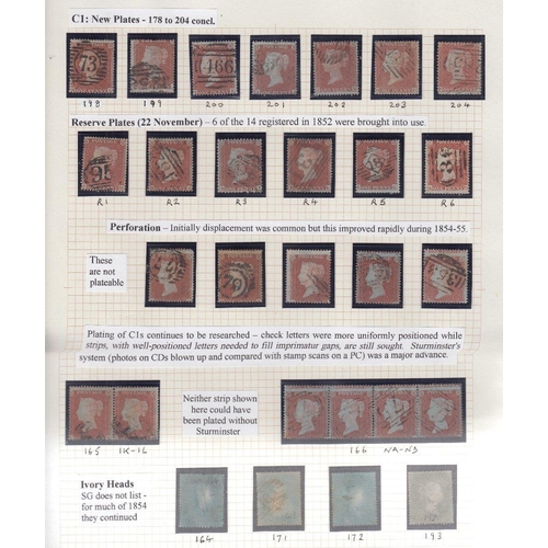 217 - STAMPS GREAT BRITAIN : Fantastic Line Engraved collection with 41 Penny Blacks, 12 1840 Blues etc ! ... 