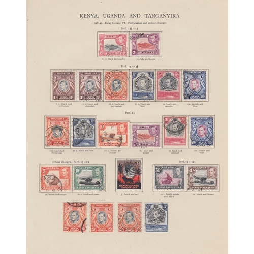 38 - STAMPS : BRITISH COMMONWEALTH, a superb George VI fine used collection housed in two New Age printed... 