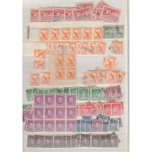 375 - STAMPS AUSTRALIA : Mint and used accumulation in 64 page stockbook including mint blocks etc (100's)