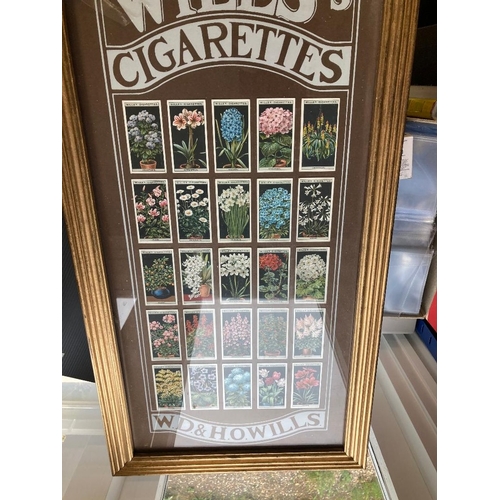 35 - Two picture frames of cigarette cards sets (BUYER TO COLLECT WILL NOT POST)