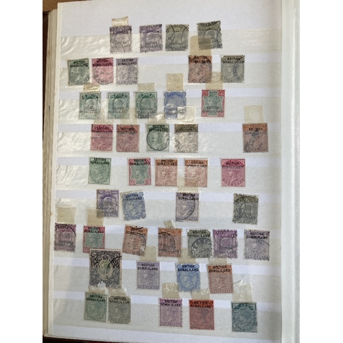 41 - STAMPS : BRITISH COMMONWEALTH, a mint & used assortment in two large stockbooks with GB, Commonwealt... 