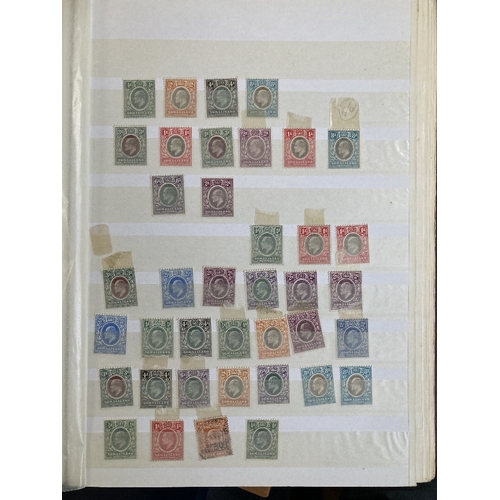 41 - STAMPS : BRITISH COMMONWEALTH, a mint & used assortment in two large stockbooks with GB, Commonwealt... 