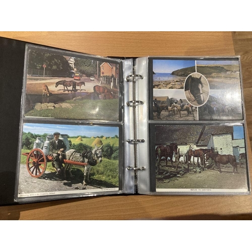 14 - Album of postcards of various animals, horses, cattle, sheep etc