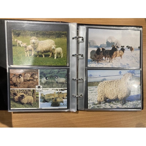 14 - Album of postcards of various animals, horses, cattle, sheep etc