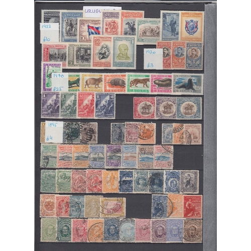 21 - STAMPS : SOUTH AMERICA, mint & used accumulation on five double-sided stock pages, ranging from 1880... 