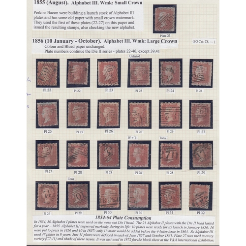 130 - STAMPS GREAT BRITAIN : Collection of well researched Penny Red Stars on album pages, plated by vendo... 