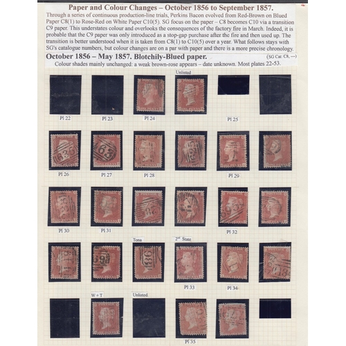 130 - STAMPS GREAT BRITAIN : Collection of well researched Penny Red Stars on album pages, plated by vendo... 