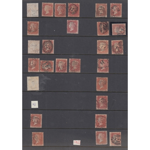 130 - STAMPS GREAT BRITAIN : Collection of well researched Penny Red Stars on album pages, plated by vendo... 