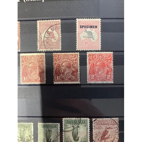 13 - STAMPS : Box of GB and Commonwealth stock books including better Australia (10/- Pink Specimen) and ... 