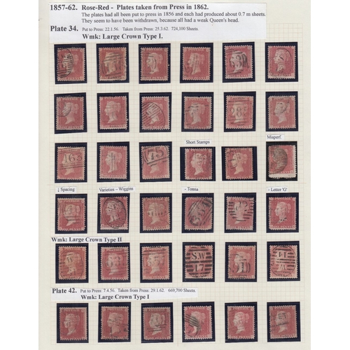 112 - Line Engraved collection in Plymouth album, 41 Plated Penny Blacks (generally mixed condition), nume... 