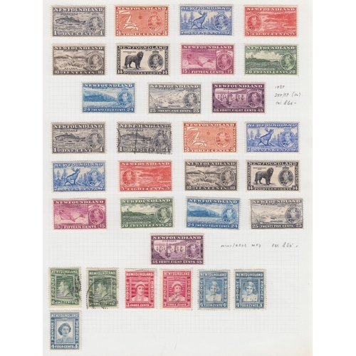 499 - STAMOS NEW FOUNDLAND Mint & used collection on five album pages including 1919 Caribou mint set with... 