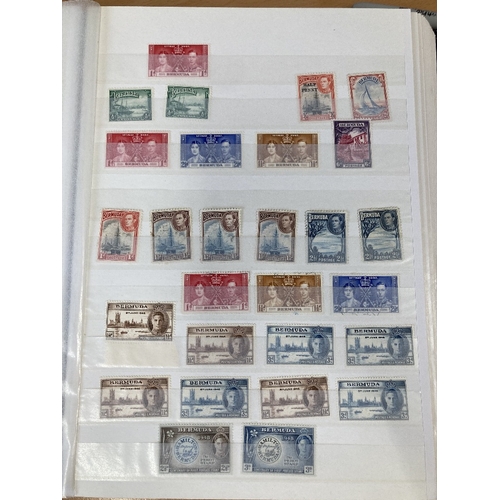 24 - STAMPS BRITISH COMMONWEALTH mint and used in large stockbook mainly Bermuda, Dominica, and India inc... 