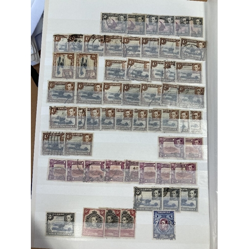 42 - STAMPS BRITISH COMMONWEALTH mint and used in large stockbook, many better stamps spotted some duplic... 