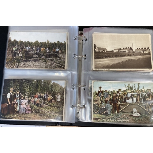 100 - POSTCARDS Album of Hop-picking cards , great social history