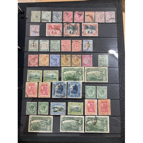 36 - STAMPS British Commonwealth on stock pages QV to GV with countries H to V, better stamps and part se... 