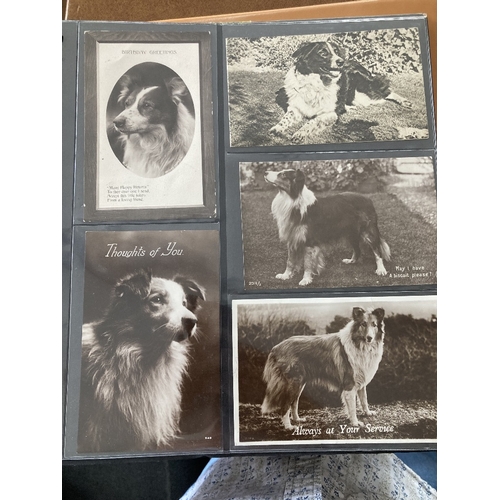 98 - Five albums of postcards, mainly Dogs and other animals