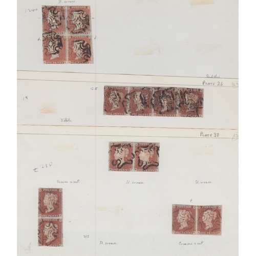 249 - STAMPS PENNY REDS 1841 fine collection of pair strips and blocks, mixed margins but better noted, in... 