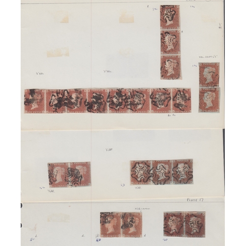 249 - STAMPS PENNY REDS 1841 fine collection of pair strips and blocks, mixed margins but better noted, in... 