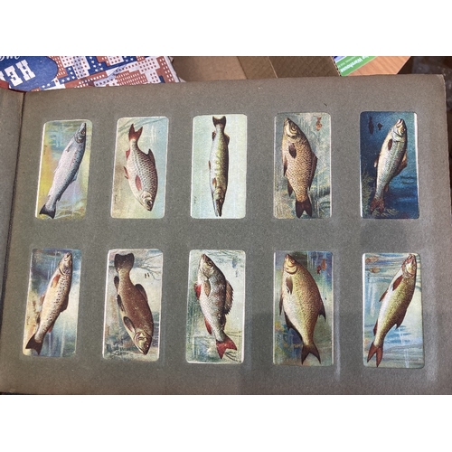 116 - CIGARETTE CARDS Box with some early cards & sets including 1903 Players 'Fishes of the World' set, 1... 