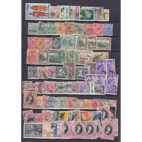 51 - STAMPS British Commonwealth stockbook crammed full of mint and used issues sure to reward, mainly GV... 