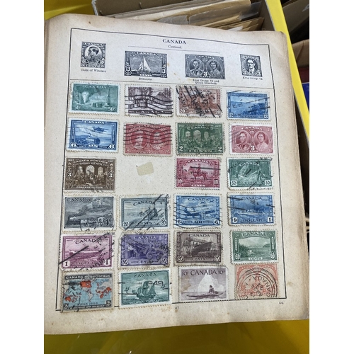 62 - STAMPS All World accumulation in various albums, stock books and loose stamps pages etc  (1000's)