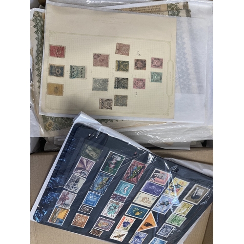 Lot 28        
