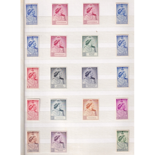 Lot 16        