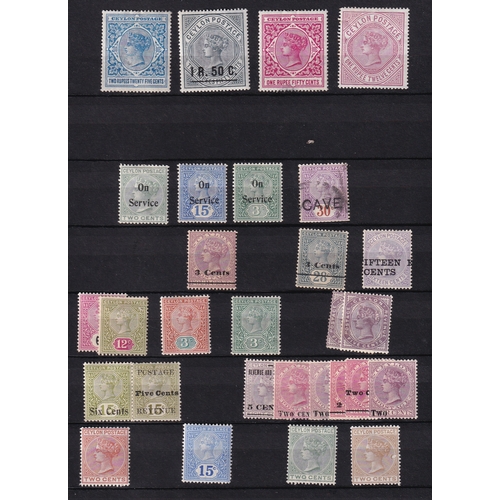 Lot 26        