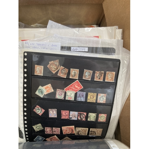 Lot 21        