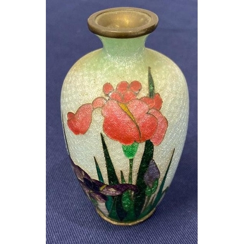 Lot 20        