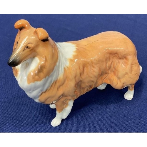 Lot 26        