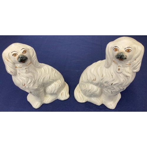 Lot 29        