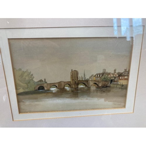 Lot 35        