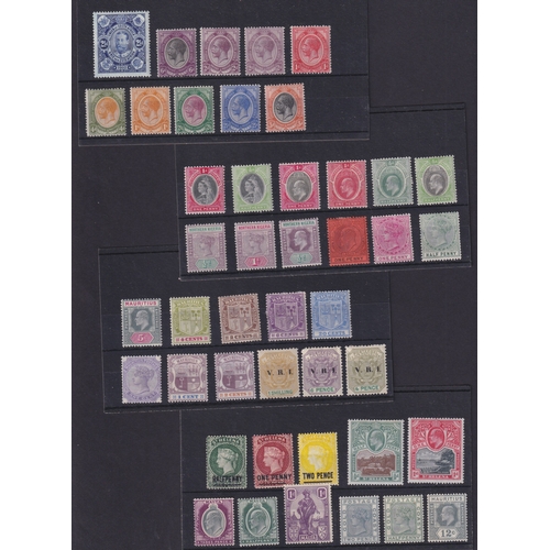 Lot 60        